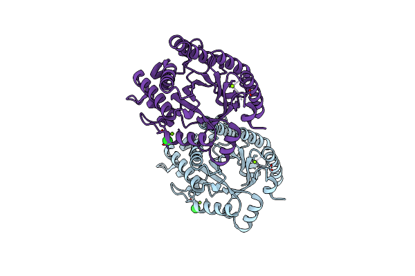 4E4P image