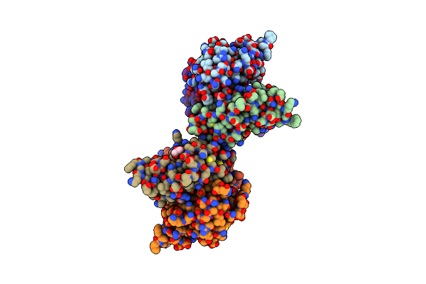 4E4S image