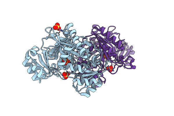 4E4T image