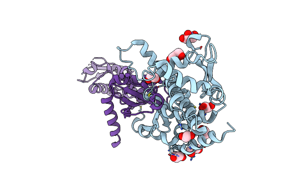 4E4W image