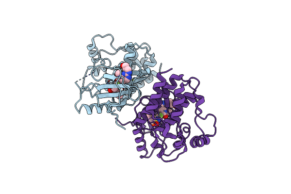 4E4X image
