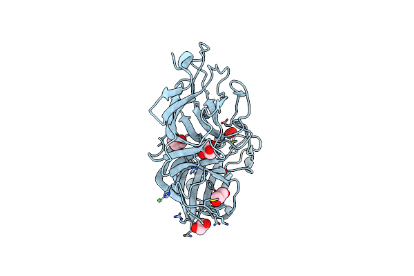 4E4Z image