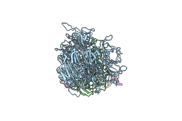 4E54 image