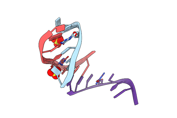 4E58 image