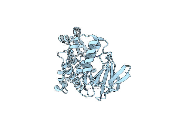 4E5A image