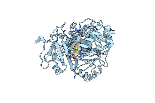 4E5D image