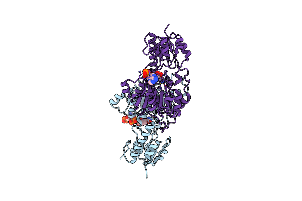 4E5M image