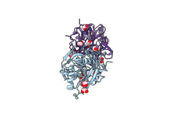 4E5V image