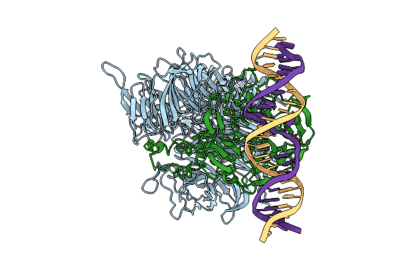 4E5Z image