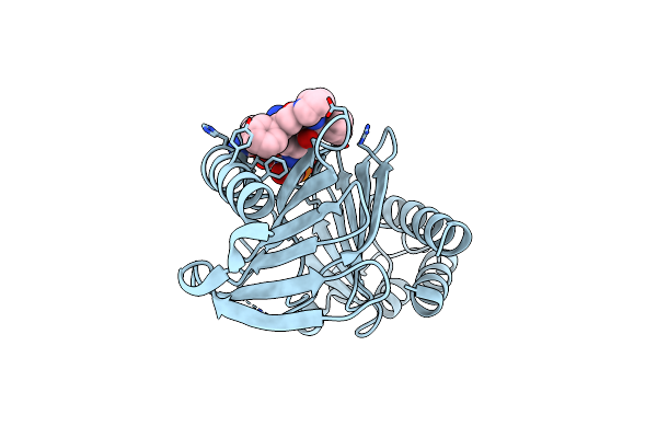 4E67 image