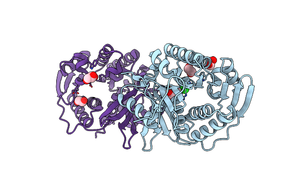 4E69 image