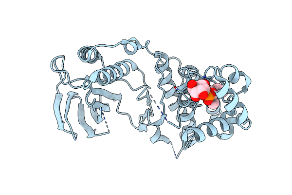 4E6A image