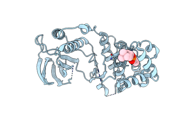4E6C image