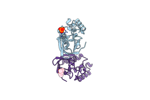 4E6I image