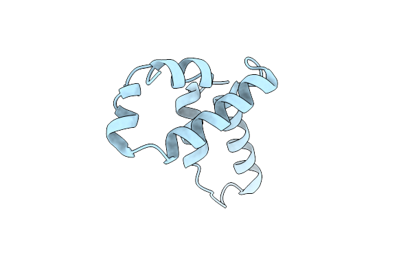 4E6S image