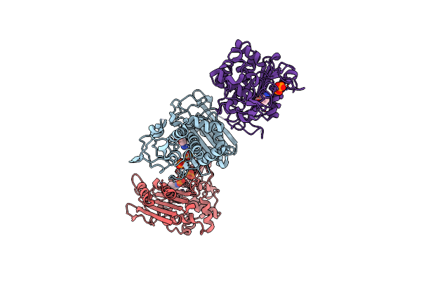 4E6W image