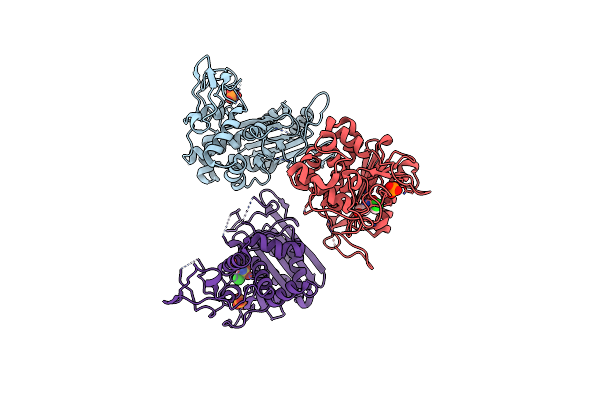 4E6X image