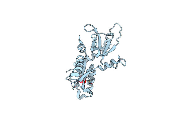 4E6Z image