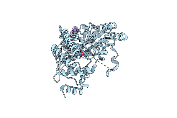 4E77 image