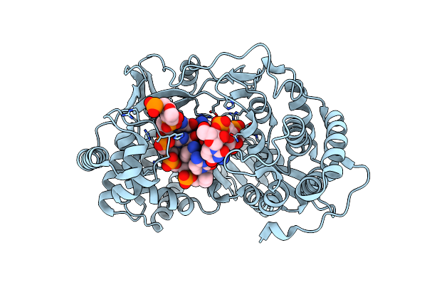 4E7A image