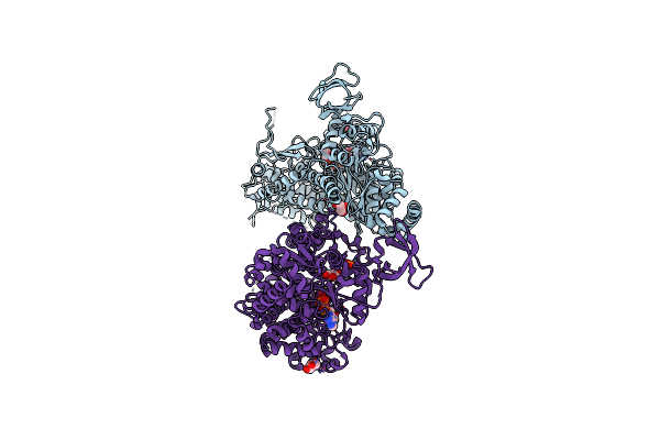 4E7S image