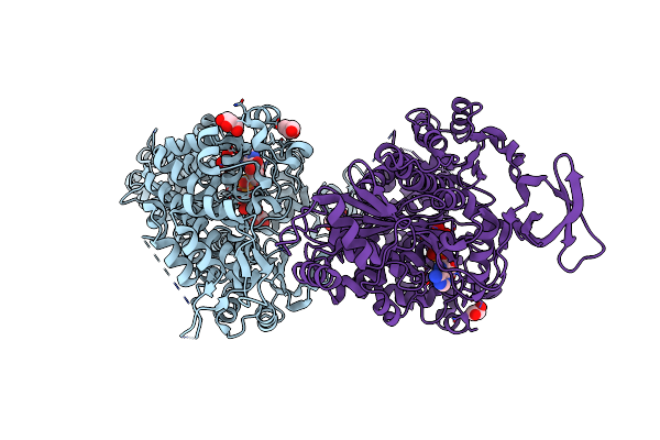 4E7Z image