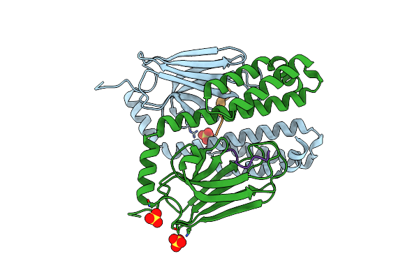 4E81 image