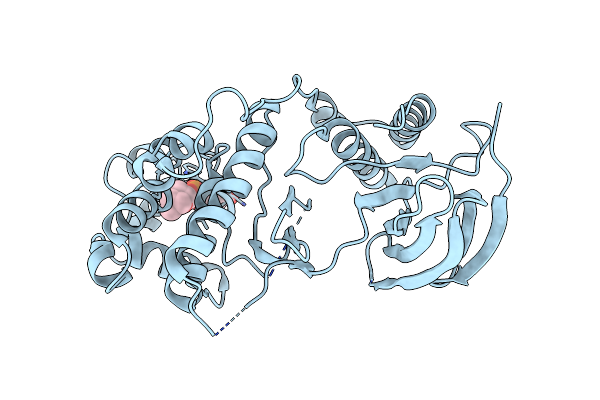 4E8A image