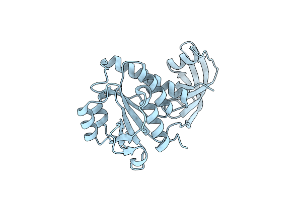 4E8B image