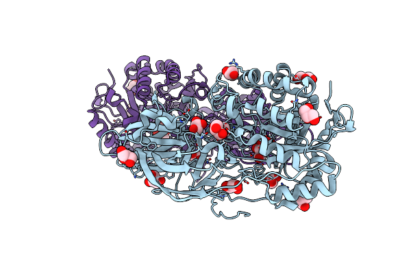 4E8C image