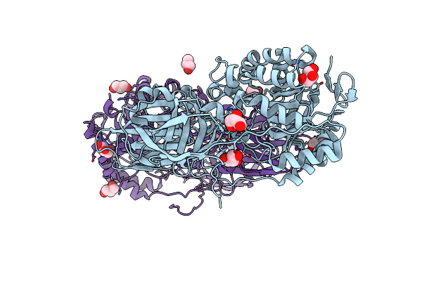 4E8D image