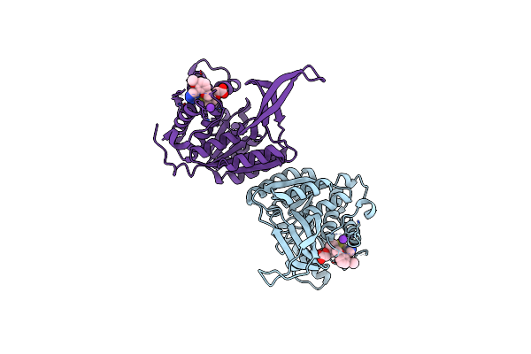 4E8W image