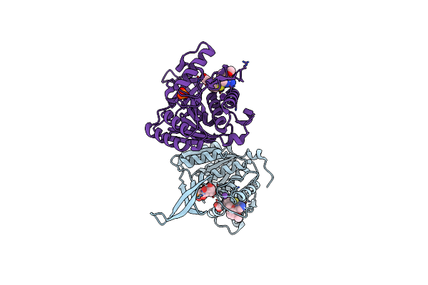 4E8Y image