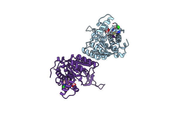 4E8Z image