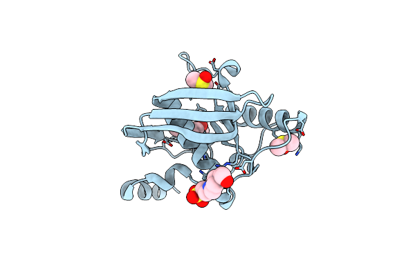 4E9A image