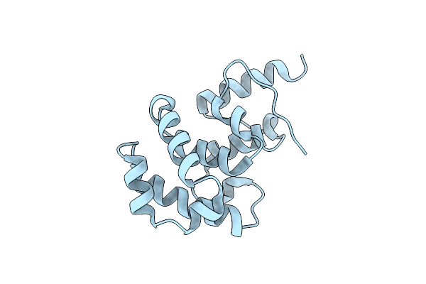 4E9E image