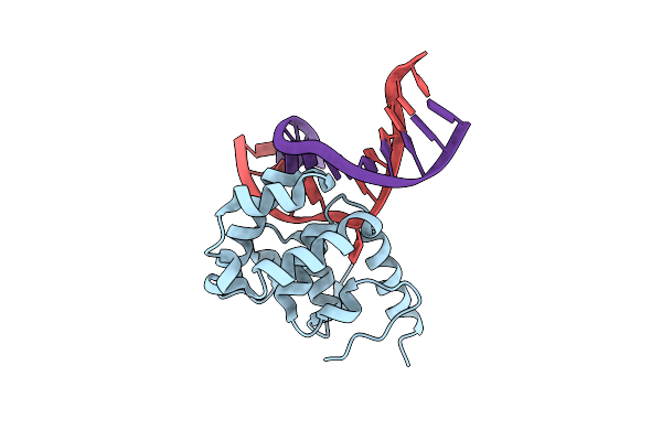 4E9G image
