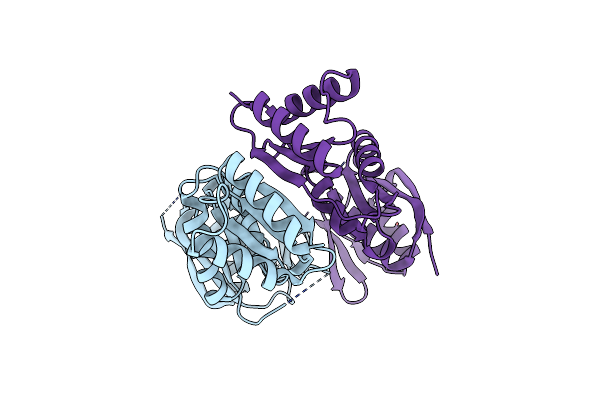 4E9J image