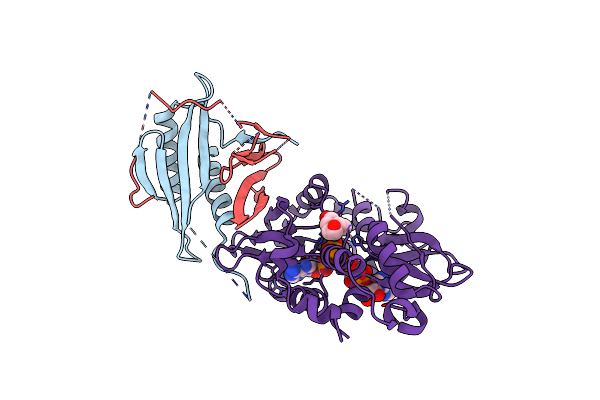 4EAG image