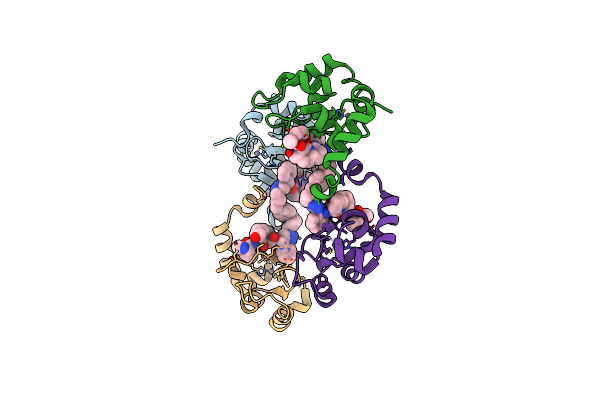 4EB9 image