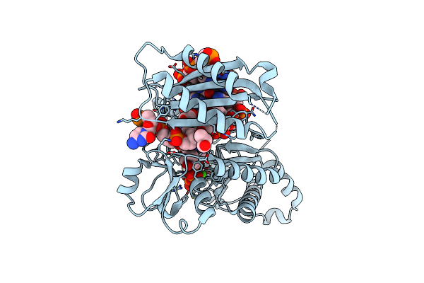 4EBD image