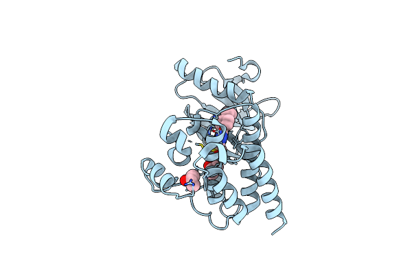 4EBV image
