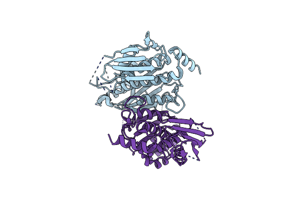 4ECD image