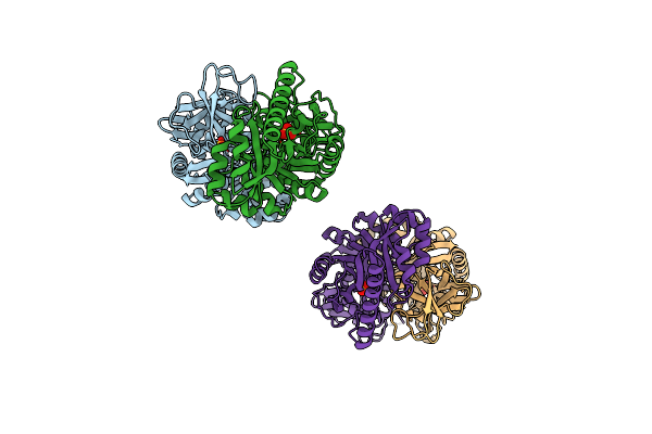 4ECL image