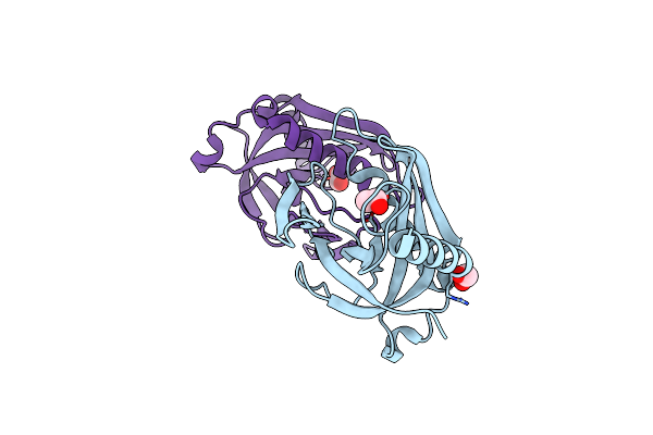 4ECP image
