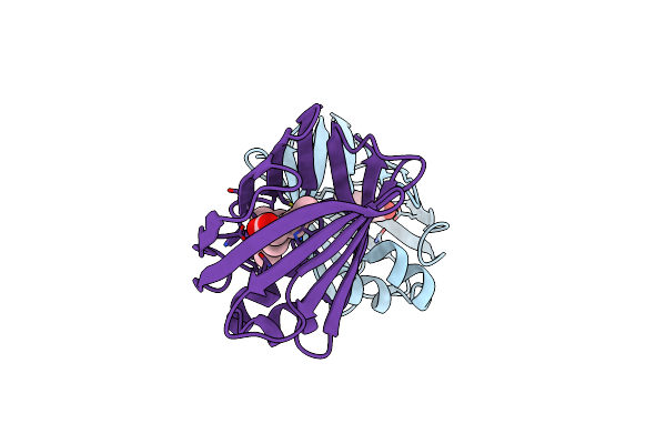 4EDE image
