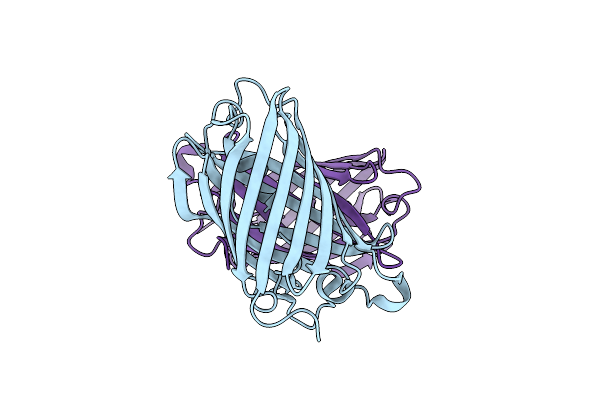 4EDO image