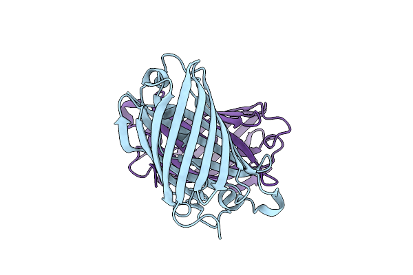 4EDS image