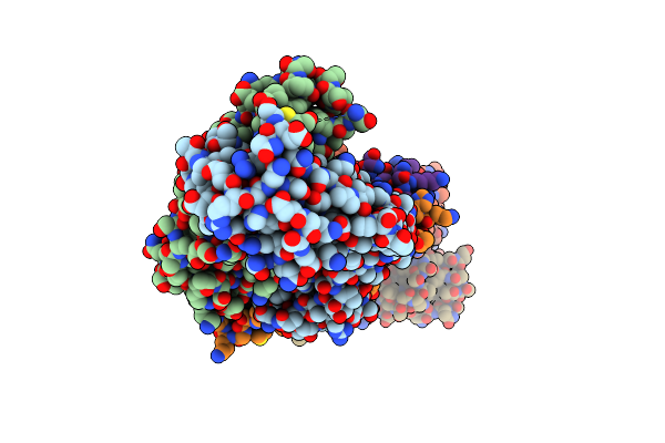4EDX image
