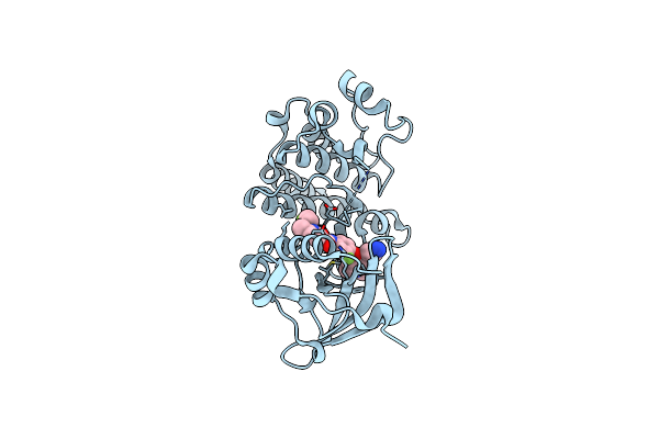 4EEV image